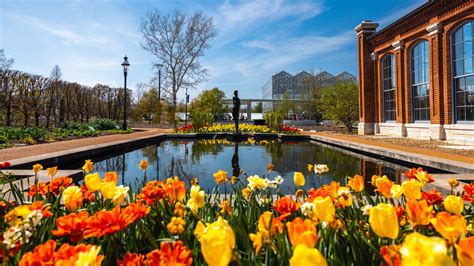 ¡Sumérgete en la magia de las flores silvestres en el Jardín Botánico de Missouri! Un paraíso para los amantes de la naturaleza y una experiencia sensorial única.