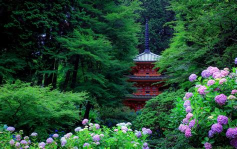  ¡La Pagoda de la Flor del Bosque: Una Maravilla Arquitectónica con Raíces Milenarias!